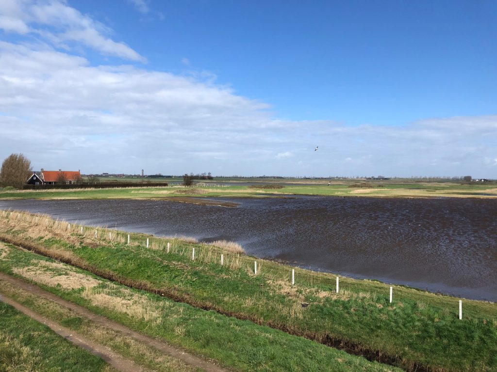 Polder