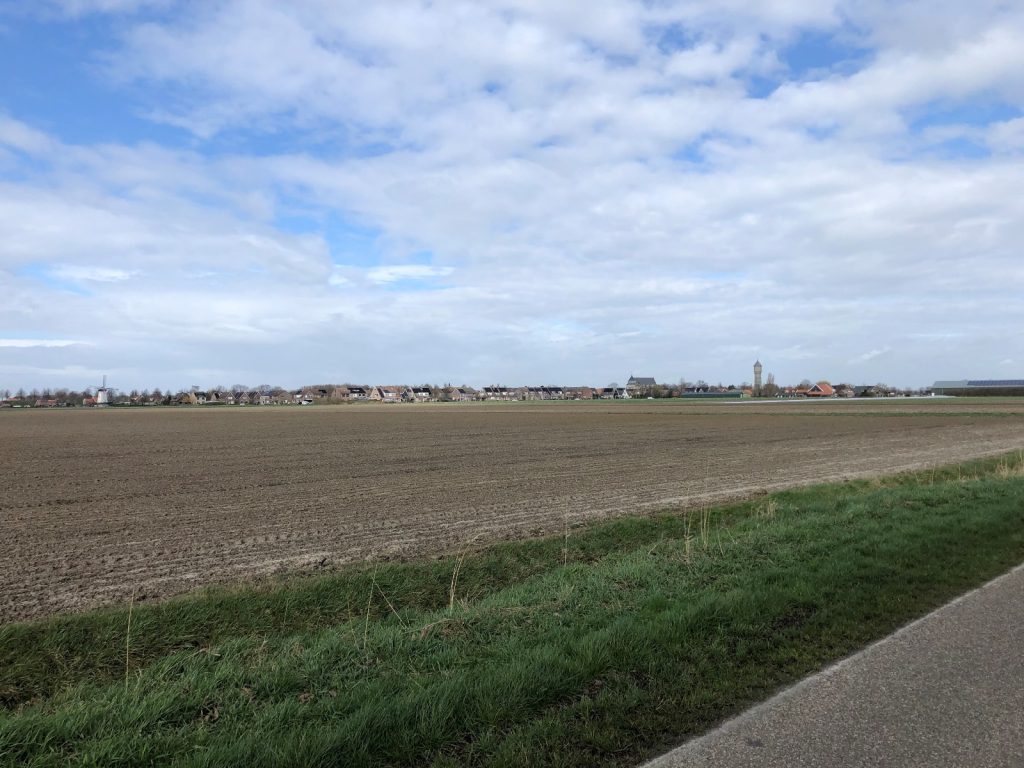 Scherpenisse